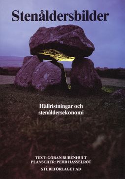 Stenåldersbilder (1981)